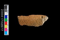 藏品(繩紋折肩)的圖片