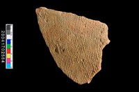 藏品(繩紋腹片)的圖片