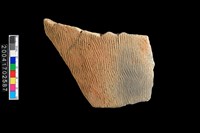 藏品(繩紋腹片)的圖片