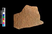 藏品(繩紋腹片)的圖片