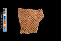 藏品(繩紋腹片)的圖片