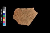 藏品(繩紋腹片)的圖片