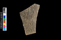 藏品(繩紋腹片)的圖片