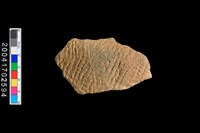 藏品(繩紋腹片)的圖片