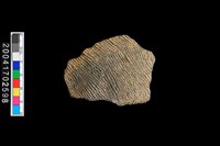 藏品(繩紋腹片)的圖片