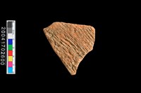 藏品(繩紋腹片)的圖片