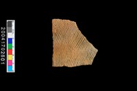 藏品(繩紋腹片)的圖片