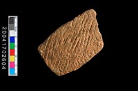 藏品(繩紋腹片)的圖片