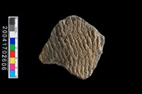 藏品(繩紋腹片)的圖片