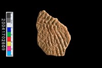 藏品(繩紋腹片)的圖片