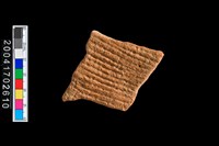 藏品(繩紋腹片)的圖片