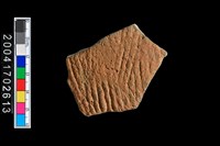 藏品(繩紋腹片)的圖片