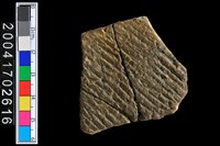 藏品(繩紋腹片)的圖片