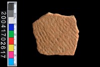 藏品(繩紋腹片)的圖片