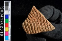 藏品(繩紋腹片)的圖片