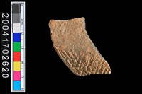 藏品(繩紋腹片)的圖片