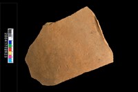 藏品(腹片-素面)的圖片