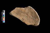 藏品(陶器底部-平底)的圖片