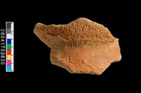 藏品(繩紋底部與圈足)的圖片