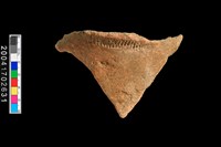 藏品(繩紋底部與圈足)的圖片