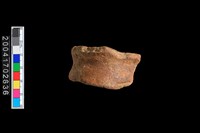 藏品(圈足)的圖片