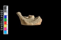 藏品(陶蓋)的圖片