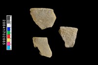 藏品(缽口)的圖片