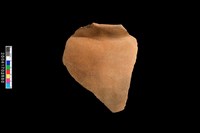 藏品(罐口)的圖片