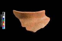 藏品(罐口)的圖片