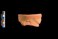 藏品(罐口)的圖片