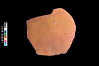 藏品(腹片-素面)的圖片