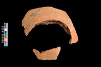 藏品(腹片-素面)的圖片