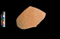 藏品(腹片-素面)的圖片