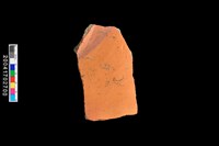 藏品(腹片-素面)的圖片