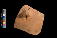 藏品(帶鈕把腹片-素面)的圖片