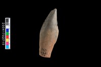 藏品(鳥頭形器)的圖片