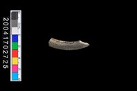 藏品(陶環-帶紋)的圖片