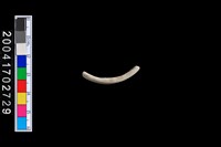 藏品(陶環)的圖片