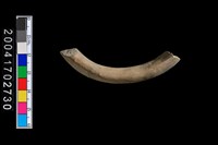 藏品(陶環)的圖片