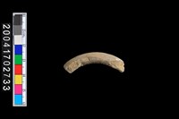 藏品(陶環)的圖片