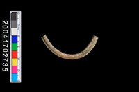 藏品(陶環)的圖片