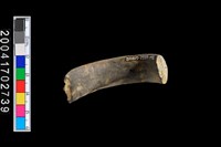 藏品(陶環)的圖片