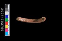 藏品(陶環)的圖片