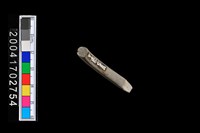 藏品(陶環)的圖片