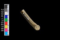 藏品(陶環)的圖片