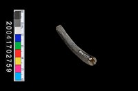 藏品(陶環)的圖片