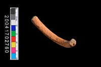 藏品(陶環)的圖片