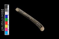 藏品(陶環)的圖片