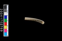 藏品(陶環)的圖片