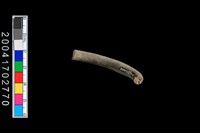 藏品(陶環)的圖片